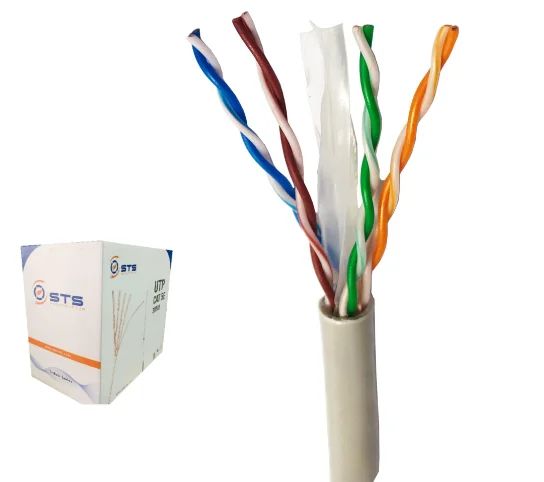 [C] ** Cáp mạng Sts 6E