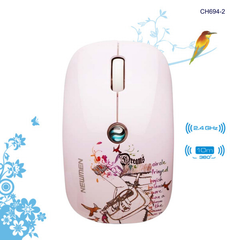 ** Chuột không dây Newmen F200
