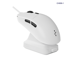 ** Chuột không dây + BT Newmen GW9