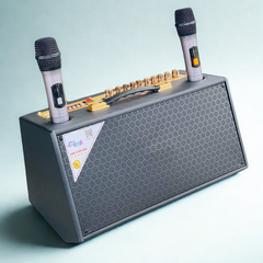 ** Loa Bluetooth kèm 2 mic S6 Pro ( mic pin sạc)