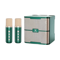 ** Loa kèm 2 mic YS213