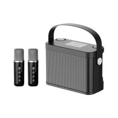 ** Loa kèm 2 mic YS219