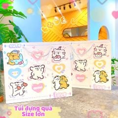 ** Túi bìa cứng nhiều hình