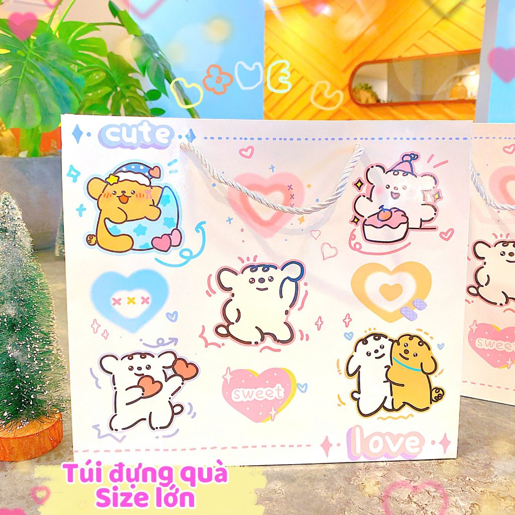 ** Túi bìa cứng nhiều hình