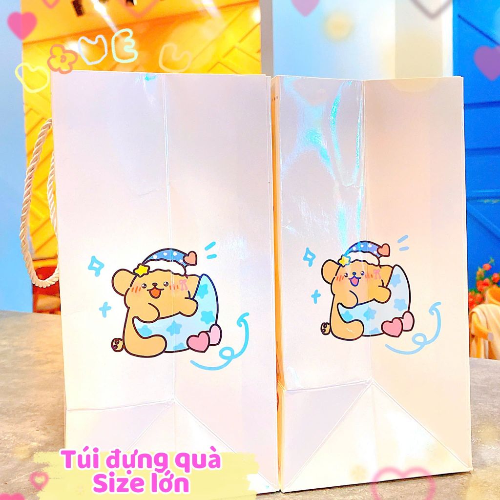 ** Túi bìa cứng nhiều hình