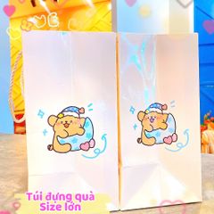 ** Túi bìa cứng nhiều hình