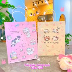 ** Túi giấy size lớn nhiều hình