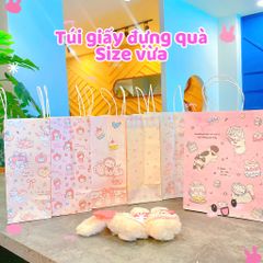 ** Túi giấy size lớn nhiều hình