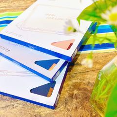 Bao da Ipad Air 4/5/6/7 Dux Ducis Domo vân vải