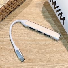 Hub Type C chuyển USB ra 4 U 2.0
