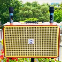 ** Loa kèm 2 mic AZPro SG10