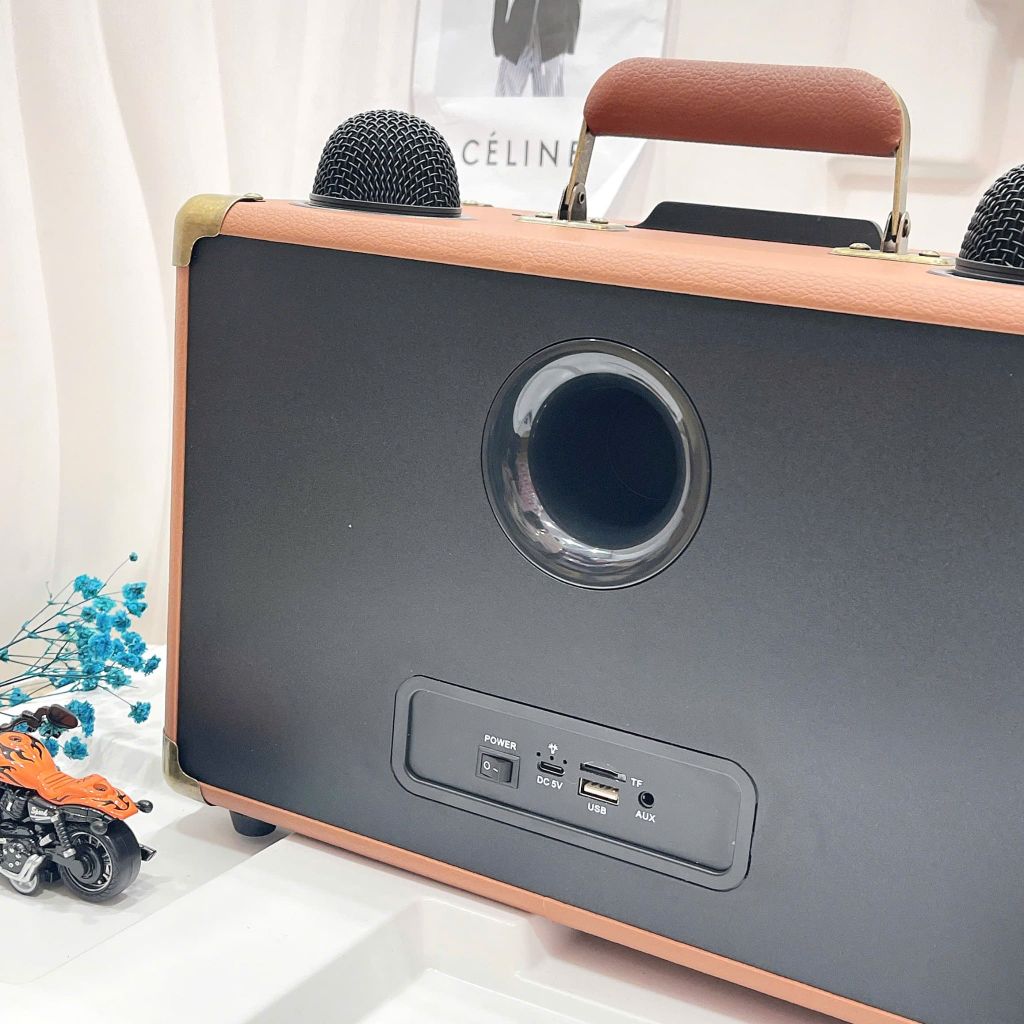 ** Loa Bluetooth kèm 2 mic SD2107