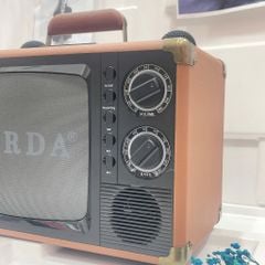 ** Loa Bluetooth kèm 2 mic SD2107