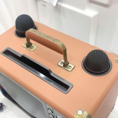 ** Loa Bluetooth kèm 2 mic SD2107