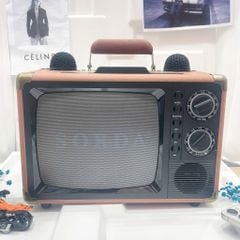 ** Loa Bluetooth kèm 2 mic SD2107