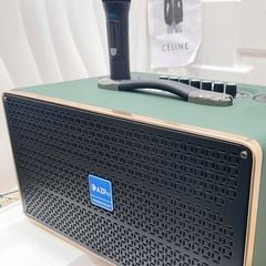 ** Loa Bluetooth kèm 2 mic Azpro D336