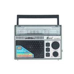 ** Loa Bluetooth FP309BT