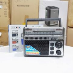 ** Loa Bluetooth FP309BT