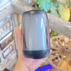 ** Loa Bluetooth Zidli D1 5W