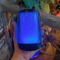 ** Loa Bluetooth Zidli D1 5W