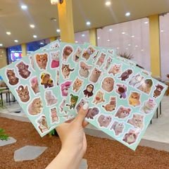 ** Set sticker mèo ngáo ngơ