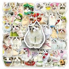 ** Set 50 miếng sticker mèo đáng yêu