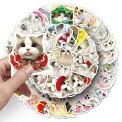 ** Set 50 miếng sticker mèo đáng yêu