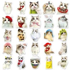 ** Set 50 miếng sticker mèo đáng yêu