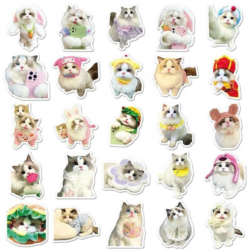 ** Set 50 miếng sticker mèo đáng yêu