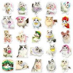 ** Set 50 miếng sticker mèo đáng yêu