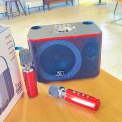 ** Loa kèm 2 mic YS226