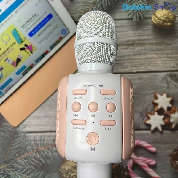 Micro cầm tay WK D23