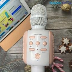 Micro cầm tay WK D23