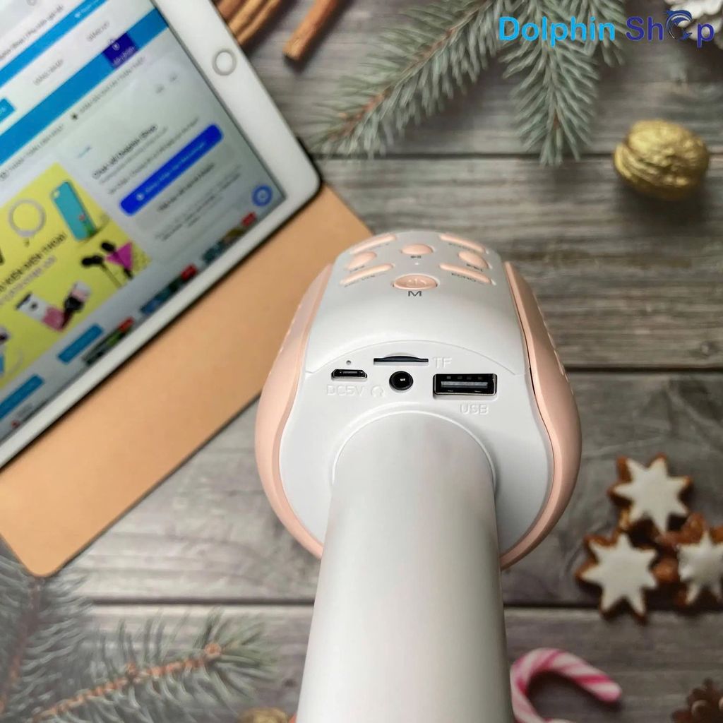 Micro cầm tay WK D23