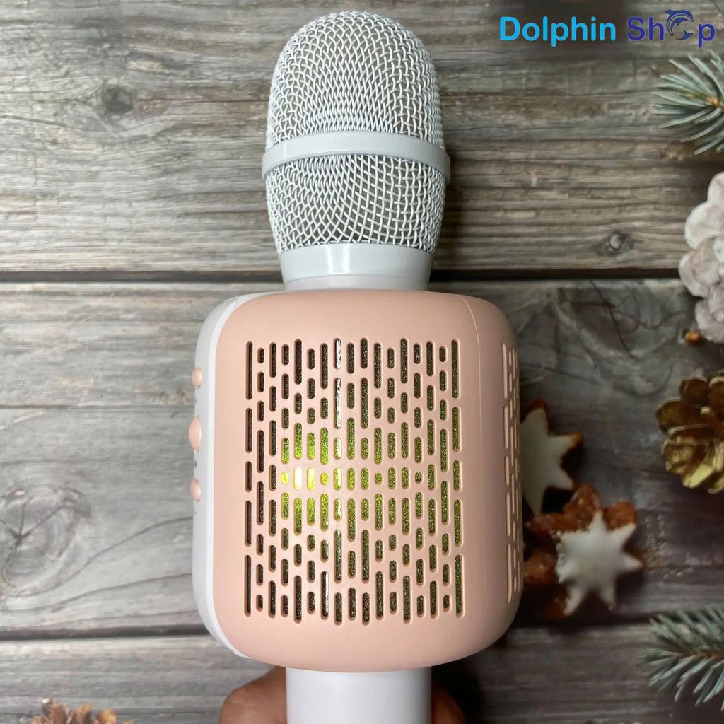 Micro cầm tay WK D23