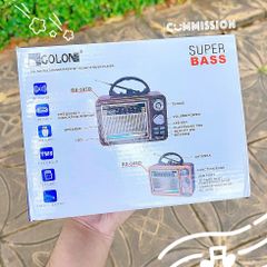 Loa đài FM RX306SD