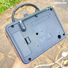 Loa đài FM RX306SD