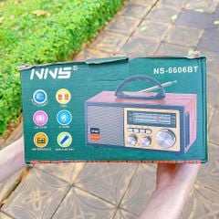 Loa đài FM NS6606BT