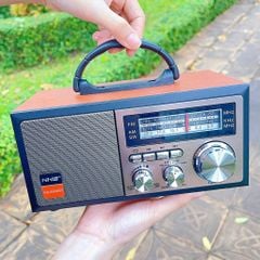 Loa đài FM NS6606BT