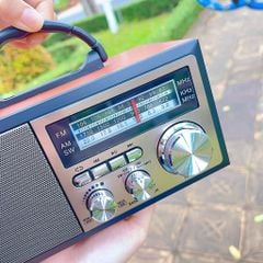 Loa đài FM NS6606BT
