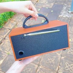 Loa đài FM NS6606BT