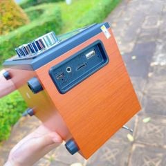 Loa đài FM NS6606BT