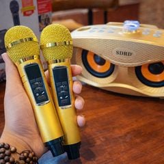 ** Loa Bluetooth kèm 2 mic SD306 Plus