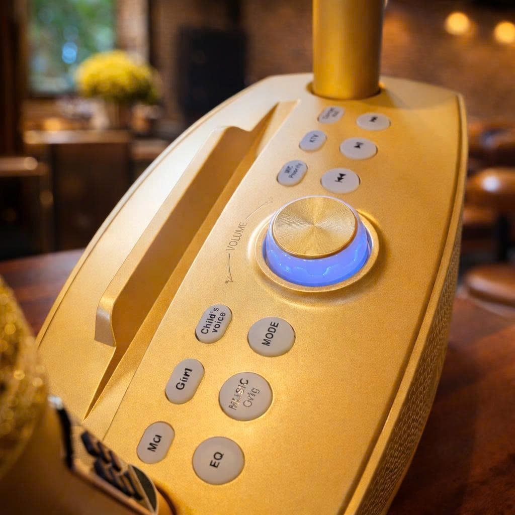 ** Loa Bluetooth kèm 2 mic SD306 Plus