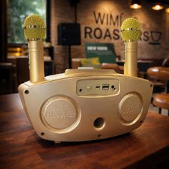 ** Loa Bluetooth kèm 2 mic SD306 Plus