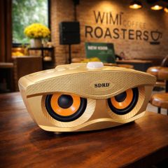 ** Loa Bluetooth kèm 2 mic SD306 Plus