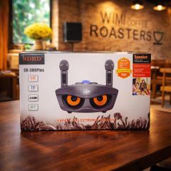 ** Loa Bluetooth kèm 2 mic SD306 Plus