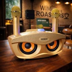 ** Loa Bluetooth kèm 2 mic SD306 Plus