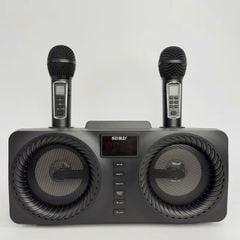** Loa Bluetooth kèm 2 mic SD218