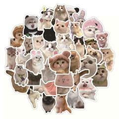 ** Set 60 sticker hình mèo cute